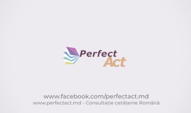 Ce trebuie să știi despre pregătirea dosarului